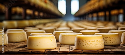 Selective focus on the ripening cellar in the Minas Gerais state countryside of Brazil where familiar industry turns cheese into delicious perfection