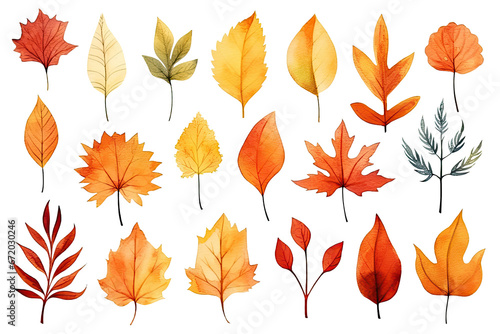 water colored autumn leaves on isolated transparent background