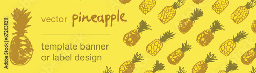 Template pineapple banner, pattern seamless, pineapples illustration, hand drawn vector exotic fruit for vegan banner, juice or jam label design. Natural ananas background for healthy food packaging.