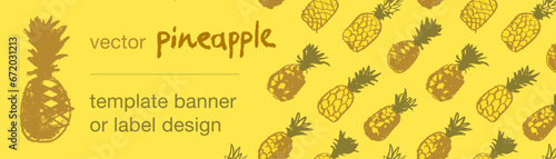 Template pineapple banner, pattern seamless, pineapples illustration, hand drawn vector exotic fruit for vegan banner, juice or jam label design. Natural ananas background for healthy food packaging.