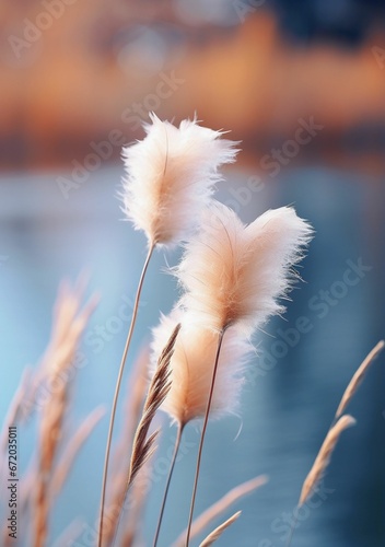 AI generated illustration of A small, white, fluffy, heart-shaped plant with a blurry background