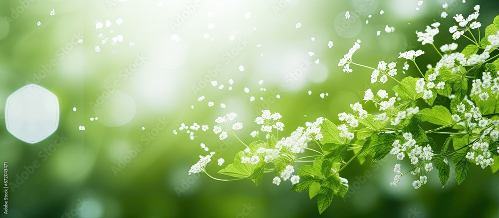 A natural background featuring a bokeh effect in green and white hues A natural background featuring a bokeh effect in green and white hues