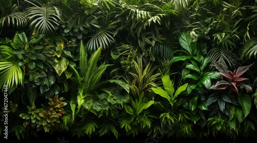 Tropical trees arranged in full background Or full wall There are leaves in different sizes, different colors, various sizes, many varieties. Another garden layout.as summer background : Generative AI