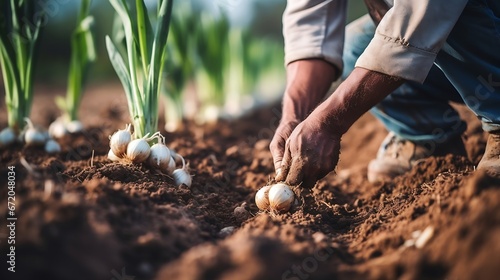 Close up of a Male farmer hand sowing onions in organic vegetable garden, close up of hand planting seeds in soil. Man planting onion in the vegetable garden. Close up planting onions  : Generative AI photo