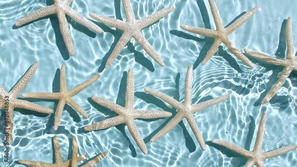Pure water and starfish with reflections sunlight in slow motion. Water surface texture top view. Sun and shadows. Motion clean swimming pool ripples and wave. . High quality 4k footage Pure water and starfish with reflections sunlight in slow motion. Water surface texture top view. Sun and shadows. Motion clean swimming pool ripples and wave. . High quality 4k footage