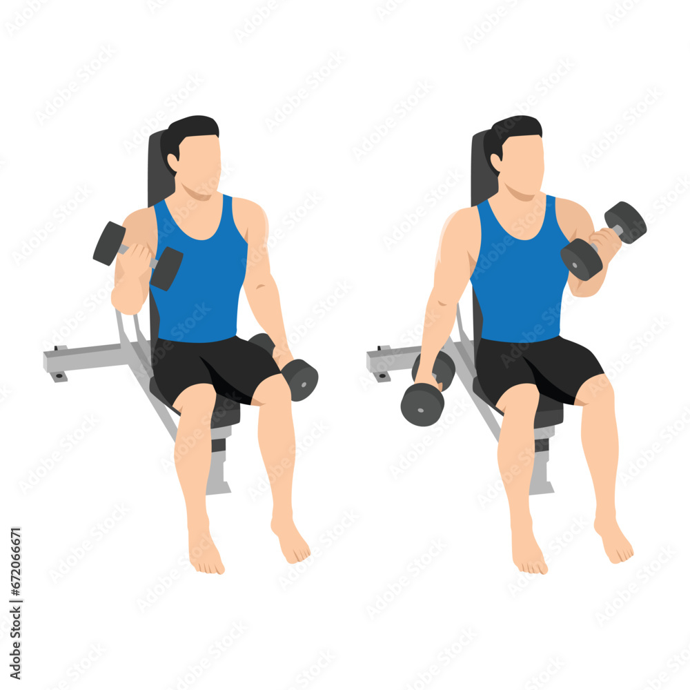Man doing seated alternating bicep twist curl exercise. Flat vector illustration isolated on white background Man doing seated alternating bicep twist curl exercise. Flat vector illustration isolated on white background