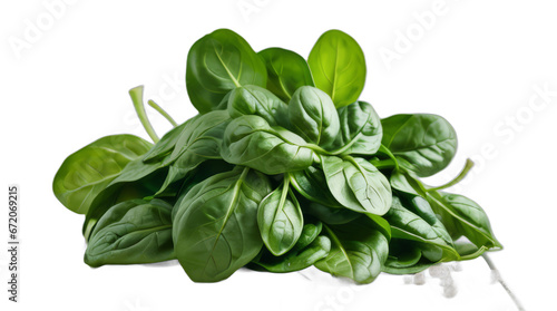 fresh spinach leaves transparent, white background, isolate, png