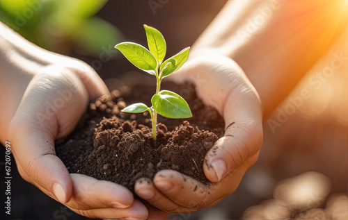 Close-up of female hands holding young plant in soil. Earth day concept © ZeNDaY