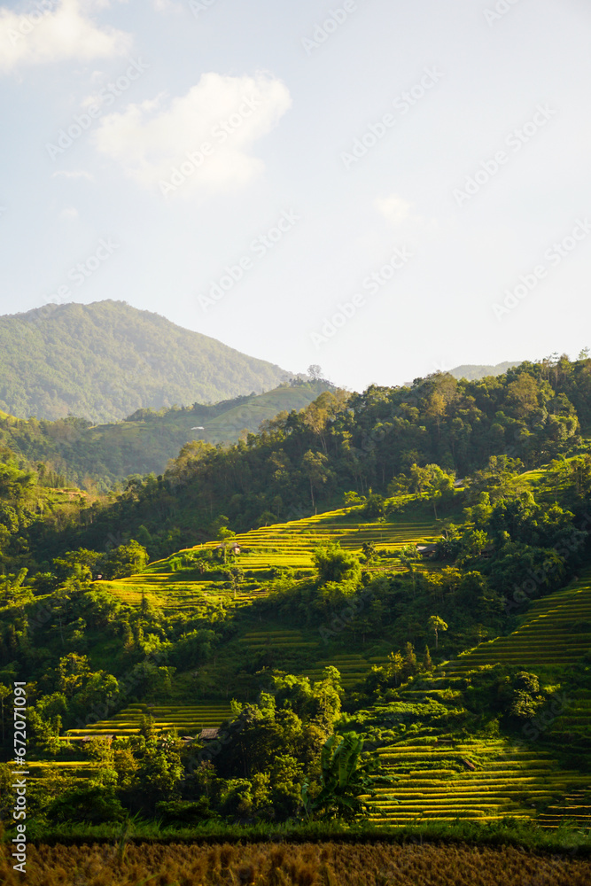 Sunny day and terraced fields, mountainous landscapes in Ha Giang, the Northern Area of Vietnam