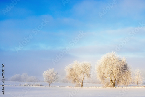 Row of tree in a beautiful winter landscape
