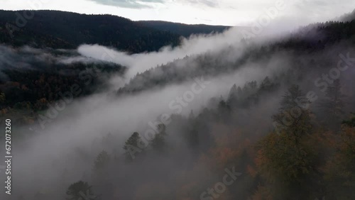 Wallpaper Mural Aerial view flying above thick clouds over mystical automnal mountain forest, 4K Torontodigital.ca