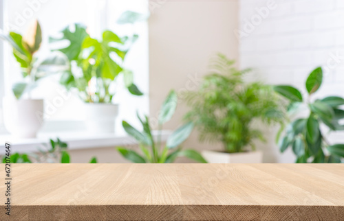 Empty wood table top on blur window sill with green house plants background