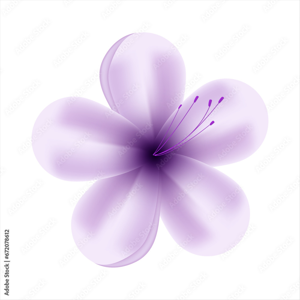 Fototapeta premium Vector spring purple flowers on white background