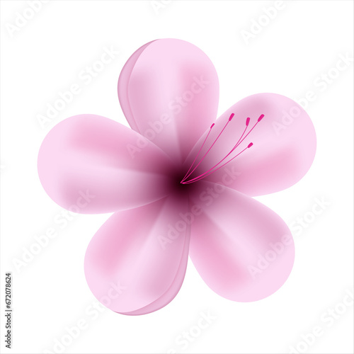 Vector spring pink flowers on white background © Nganhaycuoi