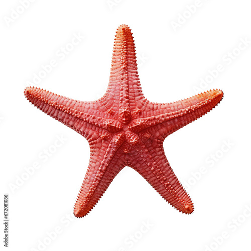 Starfish isolated on transparent background PNG Generative AI