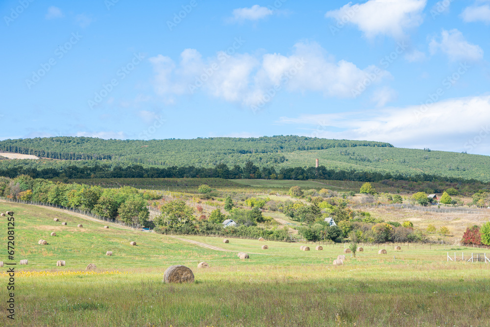 Sunny field straw bale. Sunny field straw bale.