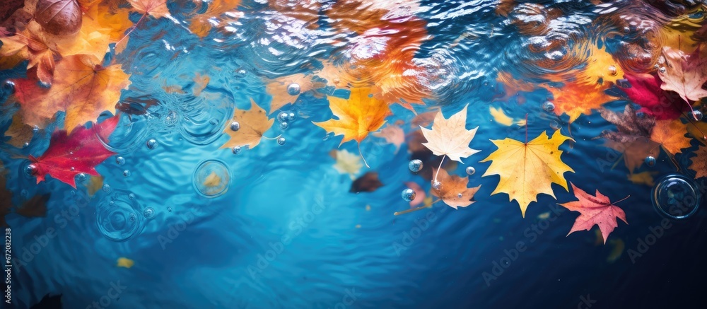 Autumn leaves of vibrant hues gracefully gliding through the water