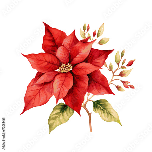 Poinsettia christmas decor watercolor painting on white background