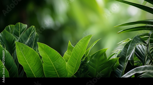 green leaves background HD 8K wallpaper Stock Photographic Image 