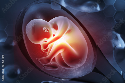 Papier peint Fetus in womb. 3d illustration..