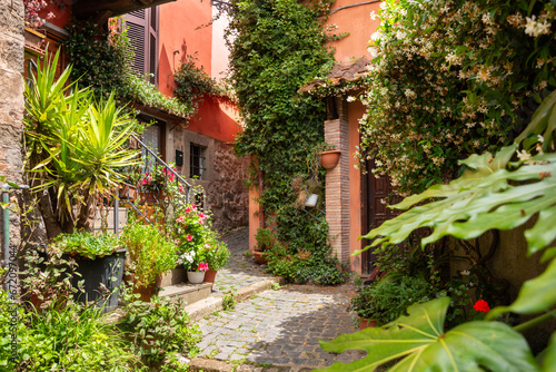 Fototapeta Naklejka Na Ścianę i Meble -  Narrow street of small town with many flowers in Italy