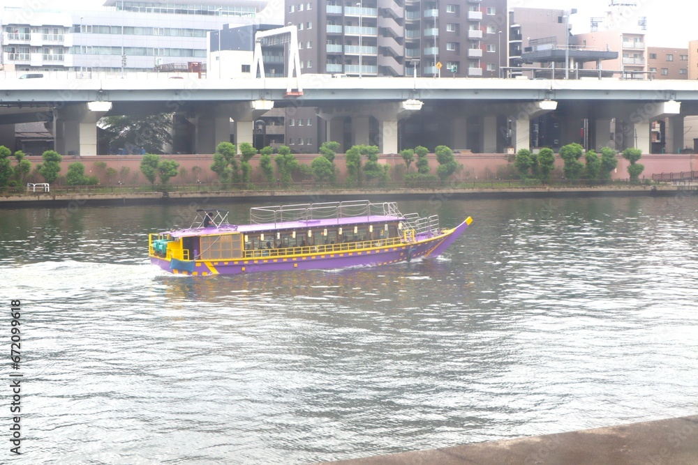 Obraz premium 隅田川の風景