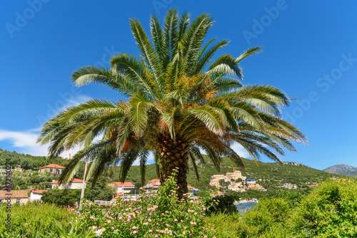 Sudjuradj, Croatia - August 09, 2023: Village of Sudjuradj, island of Sipan, near Dubrovnik, Adriatic sea, Croatia