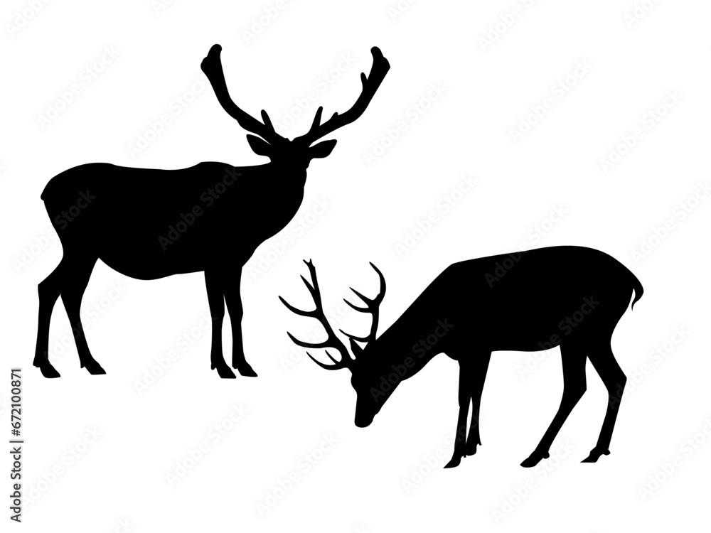 Obraz premium silhouettes of deer. shadows of deer with antlers