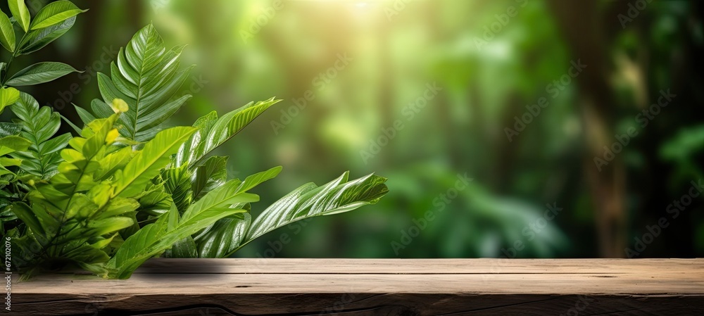 Empty table with nature tapestry. Exploring beauty of green foliage sunlit leaves and organic textures in summer environment Empty table with nature tapestry. Exploring beauty of green foliage sunlit leaves and organic textures in summer environment