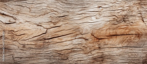 Background with a texture resembling bark naturally occurring texture background