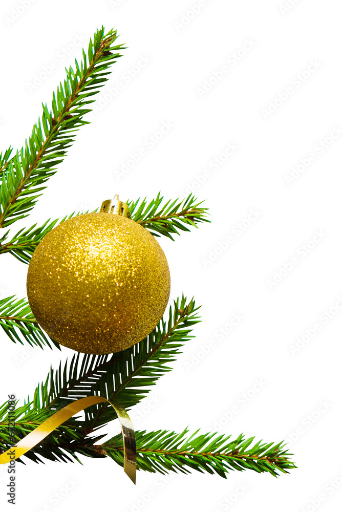 Obraz premium Christmas tree branches with gold ball in PNG isolated on transparent background 