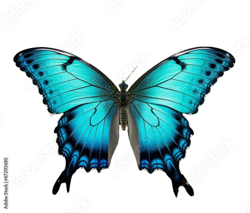 Una imagen de una mariposa con alas verdes, al estilo esmeralda y azul, esquemas de colores.
