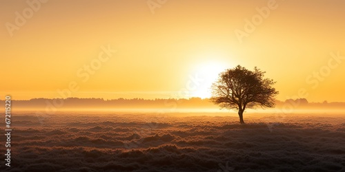 Serene sunrise. Embracing nature beauty in morning light. Captivating sunset scenery. Journey through changing seasons. Enchanting landscape. Tranquil moments in misty meadow