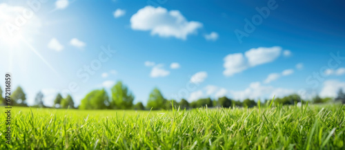 panoramic natural landscape of a green field with grass against a blue sky with sun. 