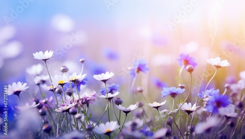 Beautiful blue, purple  wildflowers in nature © Denis