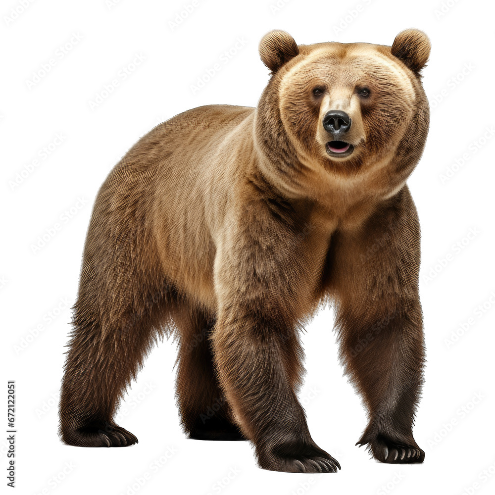 Bear isolated on transparent background generative ai Bear isolated on transparent background generative ai