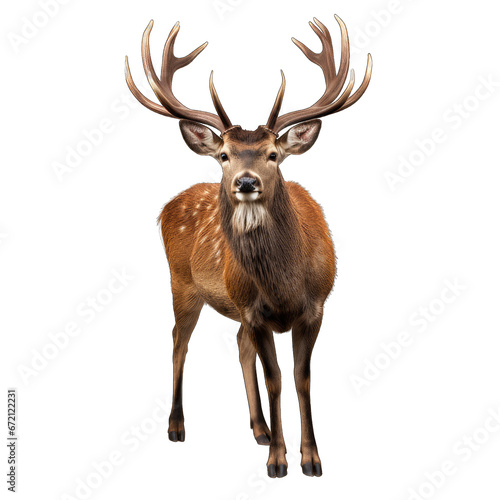 Deer isolated on transparent background generative ai