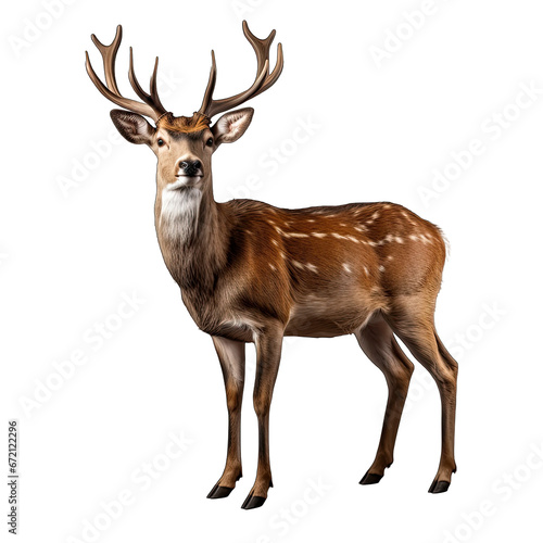 Deer isolated on transparent background generative ai