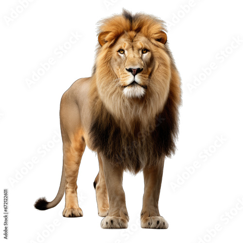 Lion isolated on transparent background generative ai 