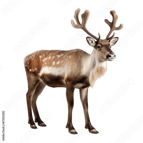 Reindeer isolated on transparent background generative ai 