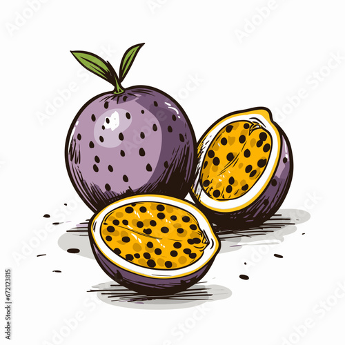 Passion fruit hand-drawn illustration. Passion fruit. Vector doodle style cartoon illustration