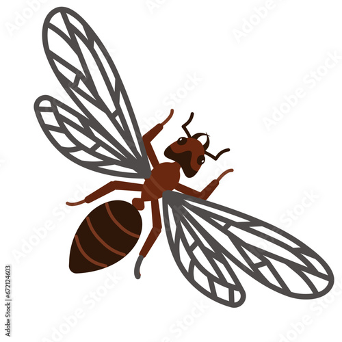 ant flat icon