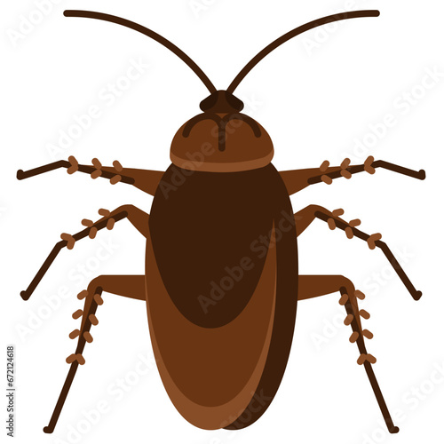 cockroach flat icon