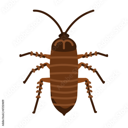 cockroach flat icon