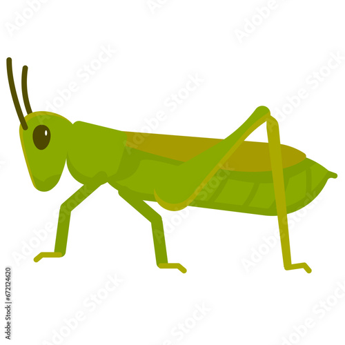 cricket flat icon