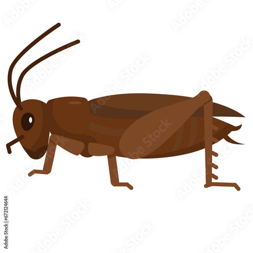 cricket flat icon