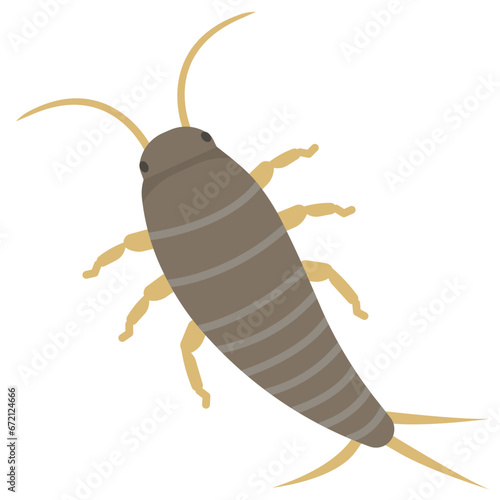 silverfish flat icon