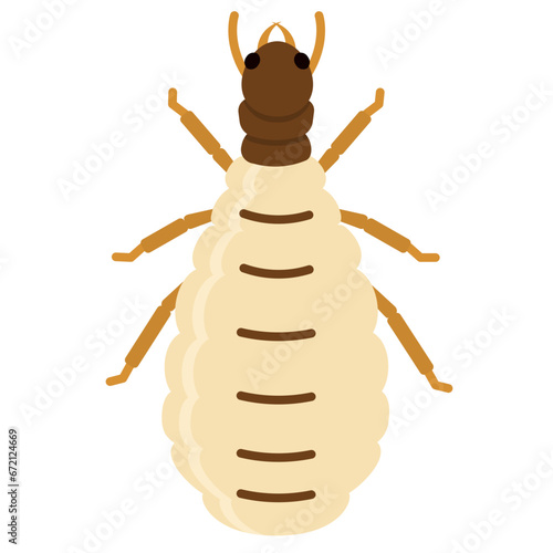 termite flat icon