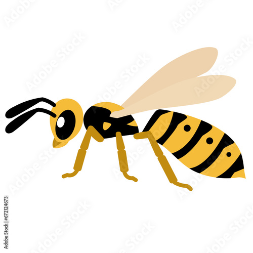 wasp flat icon