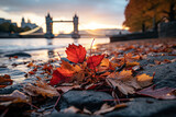 Tower Bridge with autumn leaves in London, England, UK